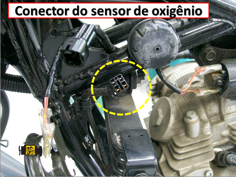 conector do sensor